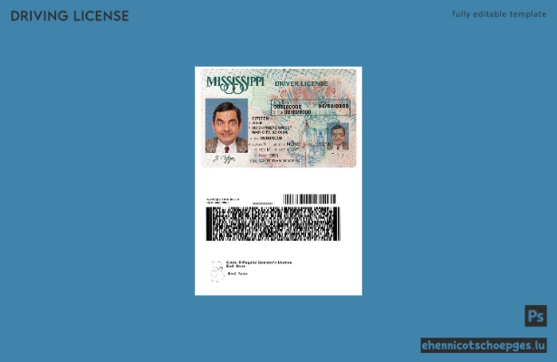 USA Mississippi Führerschein Beispielvorschau